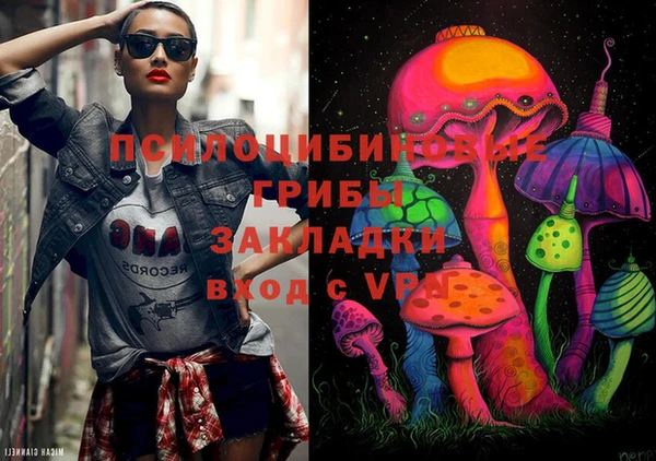стафф Алексин