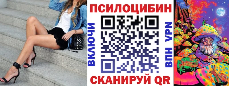 Галлюциногенные грибы Psilocybe  kraken ТОР  Андреаполь 